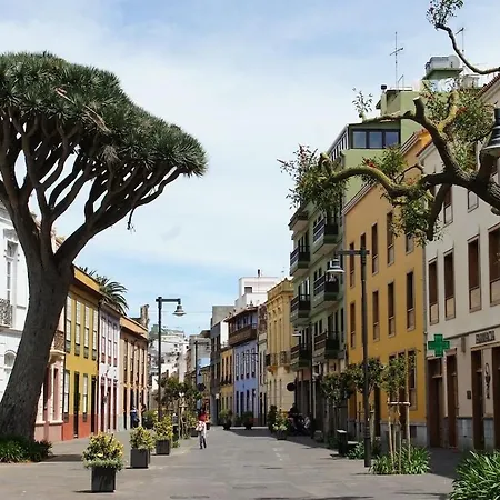 Apartamento Esencia Lagunera La Laguna (Tenerife)