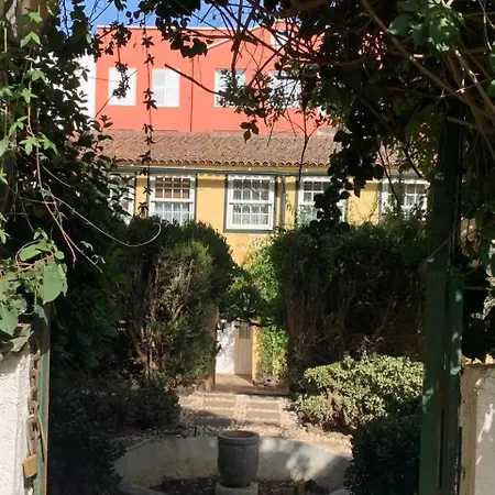 Apartamento Esencia Lagunera