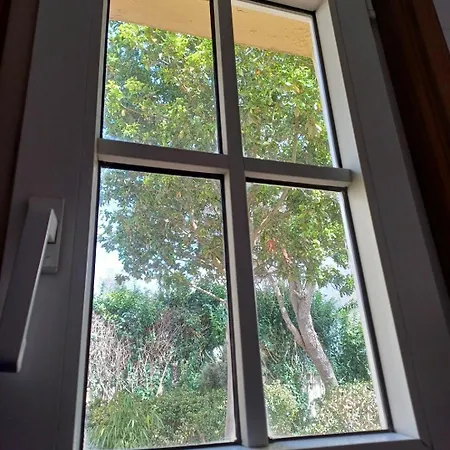 Apartment Esencia Lagunera