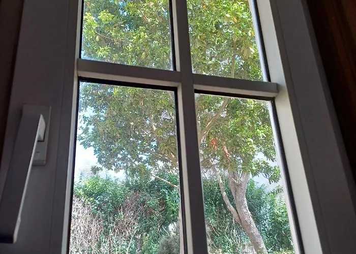 Apartment Esencia Lagunera